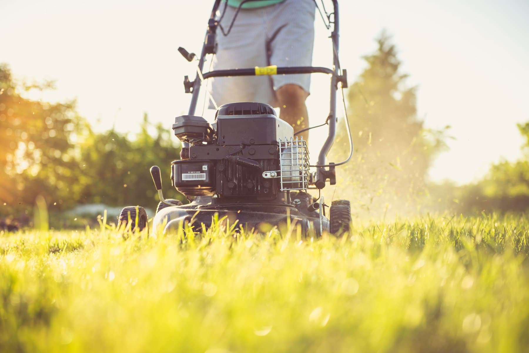 Turf & Shine crew mowing a lawn in warm evening light